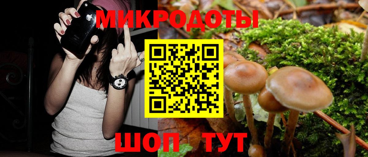 Галлюциногенные грибы MAGIC MUSHROOMS  Вход с VPN  Ефремов 